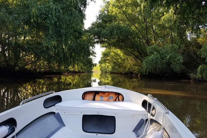 Private Tigre Delta, Northern Buenos Aires & San Isidro - Tigre City and the Turn Toward the Delta