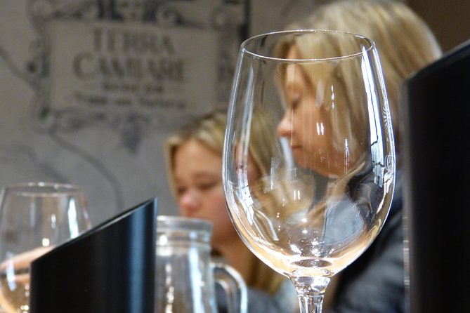 PRIVATE TOUR: Jesuit Museums and Winerys Fullday Tour - Rodrigo’s guiding style