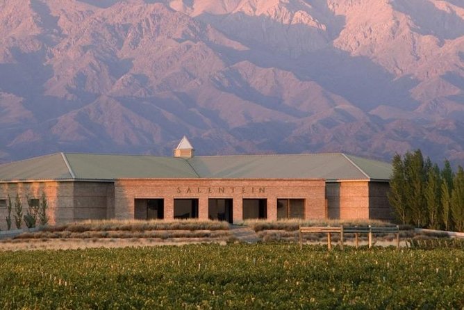 Private Tour + Uco Valley Vinicolas - Claroscuro turns lunch into the centerpiece