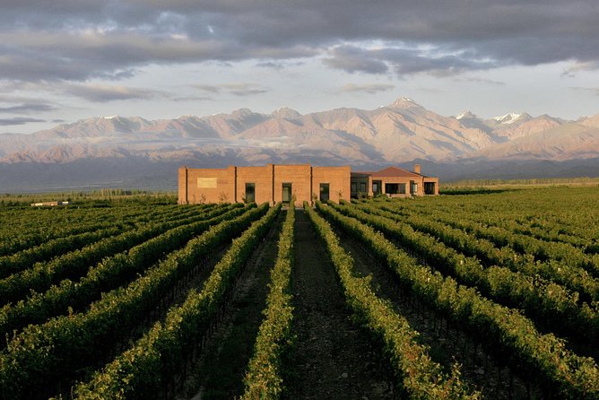 Private Tour + Uco Valley Vinicolas - Who will enjoy this Mendoza wine day?