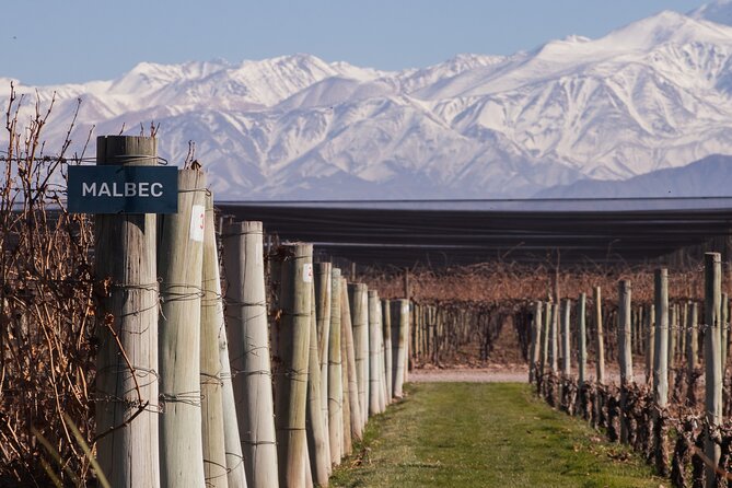 Private Transfer in Mendoza I Personal Driver - What the one-hour ride is like