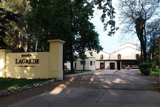 Private Transfer + Lujan de Cuyo Vinicolas / Maipu - Why this route works well in Mendoza