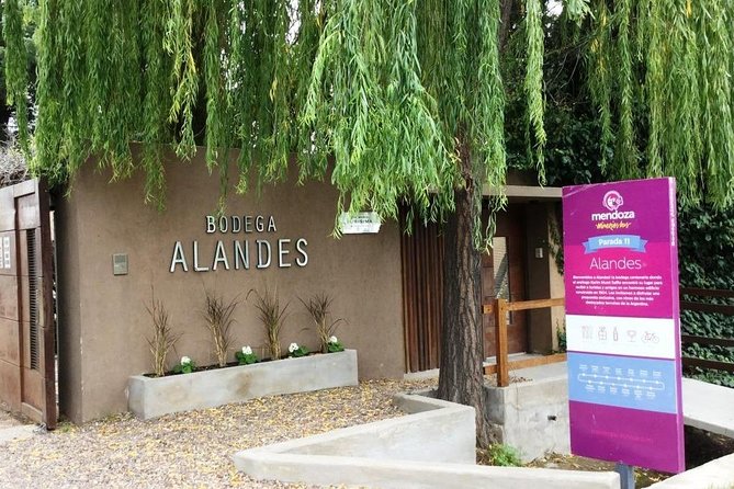 Private Transfer + Lujan de Cuyo Vinicolas / Maipu - What private transportation really adds