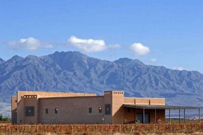 Private Transfer + Lujan de Cuyo Vinicolas / Maipu