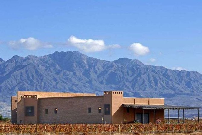 Private Transfer + Lujan de Cuyo Vinicolas / Maipu - Discovering olive oil at Olivicola LAUR