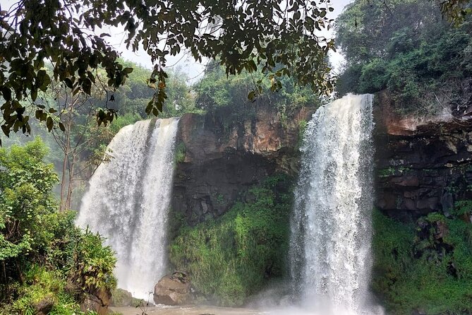 Private Transfers Full Day Iguazú Falls - The ride to Iguazú National Park