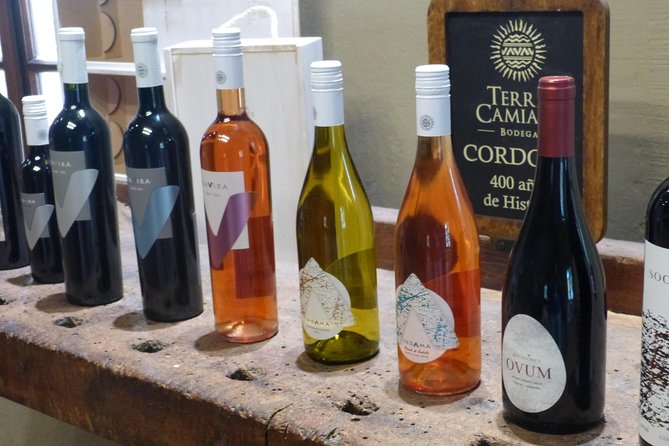 PRIVATE TUR: Caroya WineTour HalfDay - Key points to know before booking