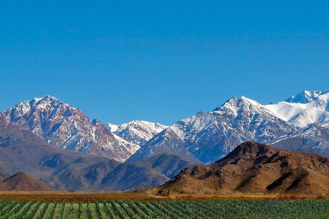 Private Uco Valley Tour paired Lunch, Wine Tastings from Mendoza - Key points at a glance