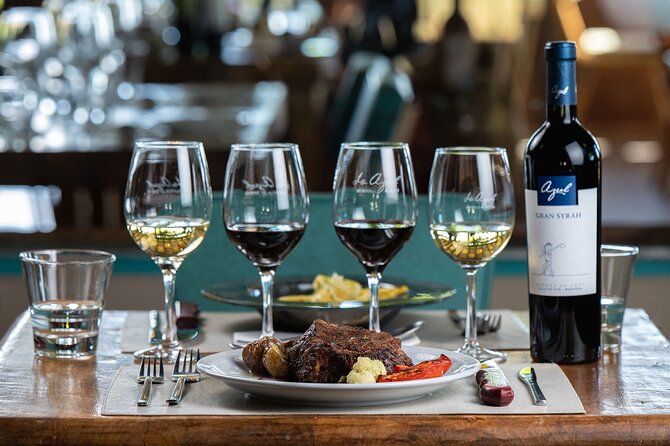 Private Uco Valley Tour paired Lunch, Wine Tastings from Mendoza - What the wine tasting may teach you