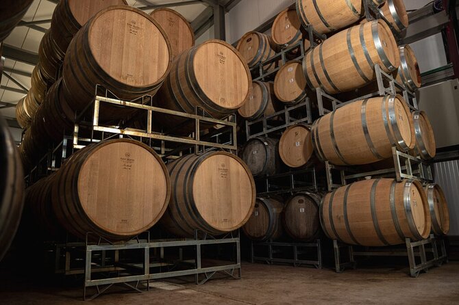Private Uco Valley Tour paired Lunch, Wine Tastings from Mendoza - Who should book this Mendoza wine day?