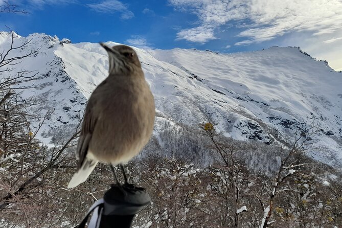 Private Winter Trekking Experience in Bariloche - Key points at a glance