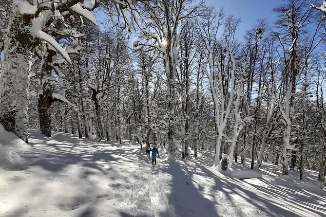 Private Winter Trekking Experience in Bariloche - Walking through Northern Patagonia