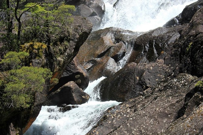 Puerto Blest Cruise & Waterfalls Hike with optional Frias Lake - Centinela Island and the salute to Francisco Moreno