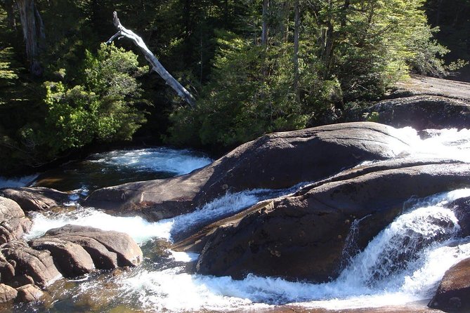Puerto Blest Cruise & Waterfalls Hike with optional Frias Lake - Puerto Blest: lunch with time to spare