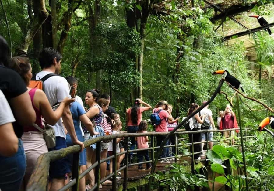 Puerto Iguazu: Iguaza Falls Brazilian Side & Bird Park Tour - Why the Brazilian side is worth seeing