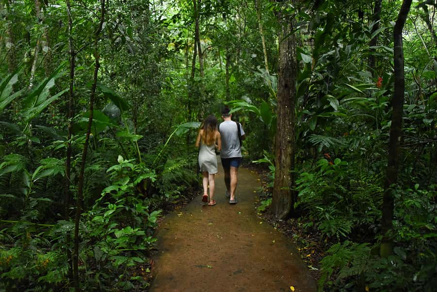 Puerto Iguazu: Iguaza Falls Brazilian Side & Bird Park Tour - Simple ways to improve your day