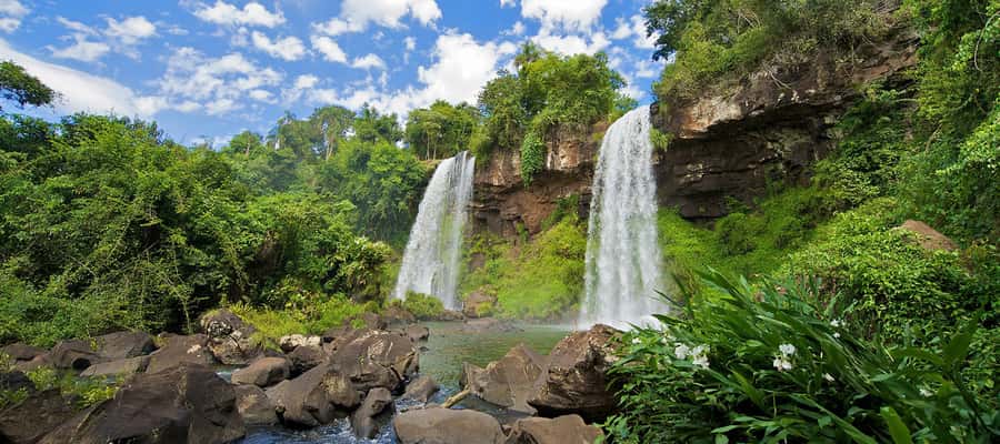 Puerto Iguazu: Iguazu Falls Argentinian Side Full-Day Tour - Guides, language, and the large-group tradeoff