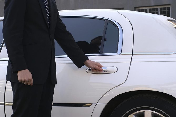 Puerto Iguazú Round-Trip Airport Transfer - Friendly drivers, but uneven English support