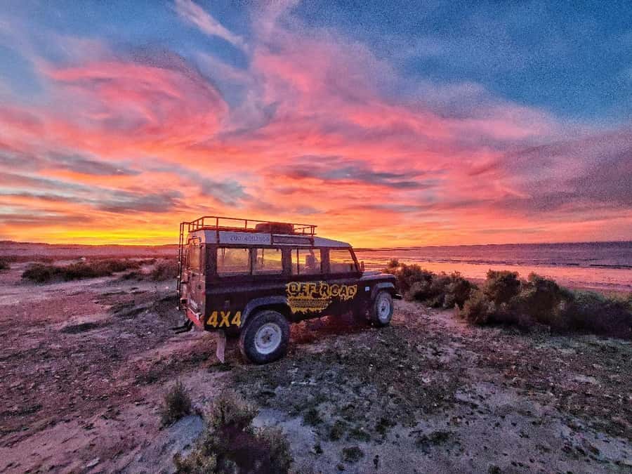 PUERTO MADRYN: 4 X 4 ADVENTURE EXPERIENCE ON THE MOST BEAUTIFUL BEACHES! - Cerro Avanzado and the story in the rocks