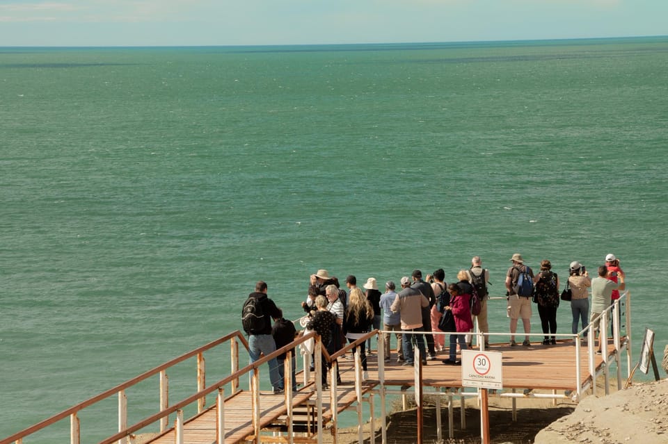 Puerto Madryn: Full Day Peninsula Valdes Experience Tour - Who should book this Peninsula Valdes day trip?