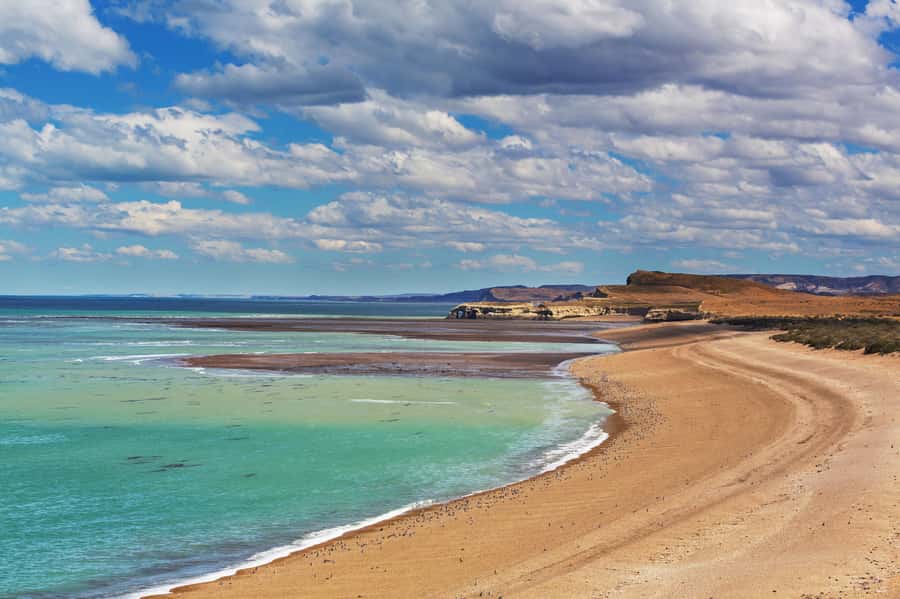 Puerto Madryn: Península Valdes with optional Whale Watching - Key things to know before booking