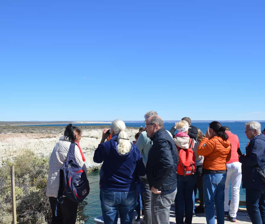 Puerto Madryn: Punta Loma Shore Excursion - Starting at Piedrabuena Pier in Puerto Madryn