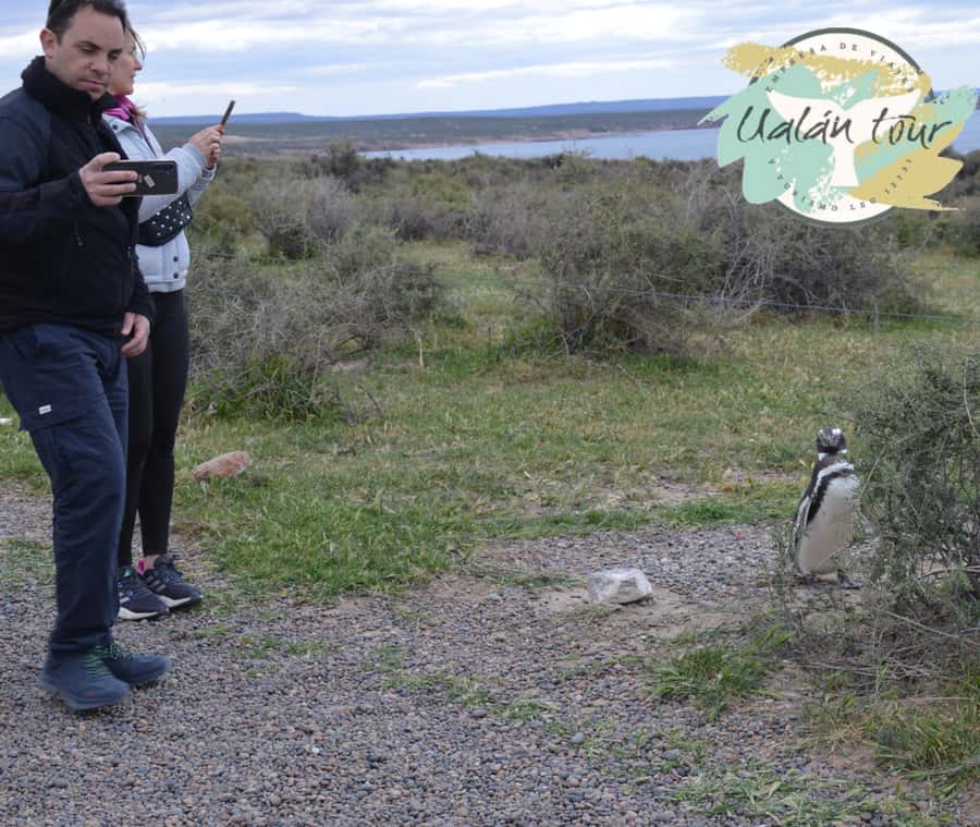 Puerto Madryn: Punta Tombo Shore Excursion for Cruise Guests - Facilities and simple preparation