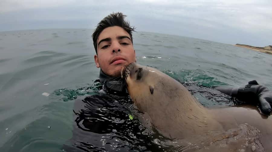 Puerto Madryn: Snorkeling Trip with Sea Lions - Practical Tips for a Better Morning