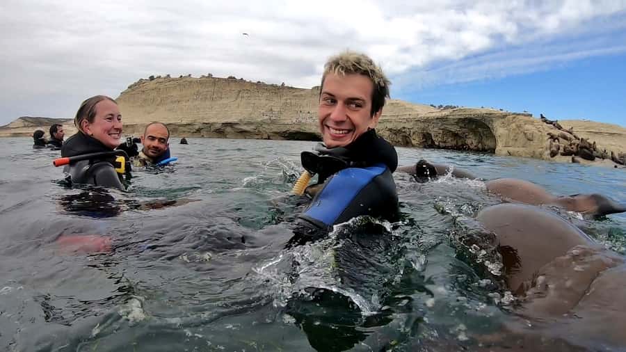 Puerto Madryn: Snorkeling Trip with Sea Lions - What the $150 Price Buys You