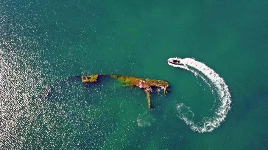 Puerto Madryn: Snorkeling Trip with Sea Lions - The Boat Ride to Paraná Beach
