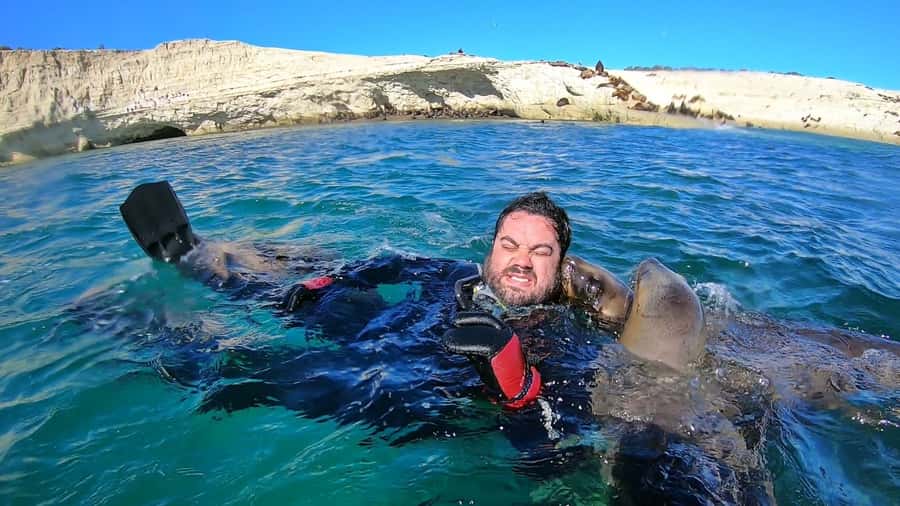 Puerto Madryn: Snorkeling Trip with Sea Lions - Timing, Group Size, and Weather