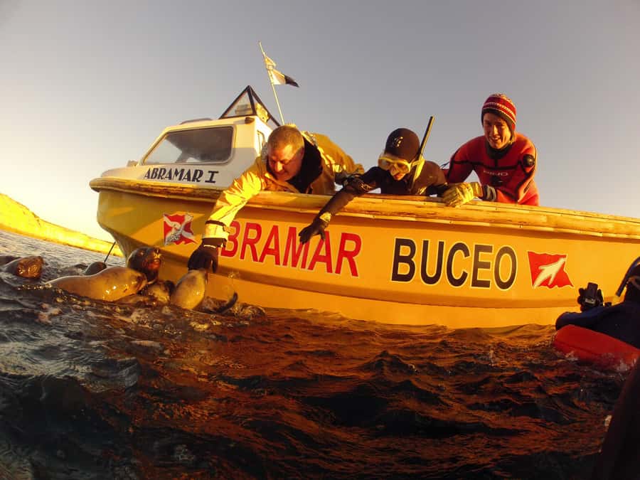 PUERTO MADRYN , SNORKELING WITH SEA LIONS - What the 35-minute swim feels like