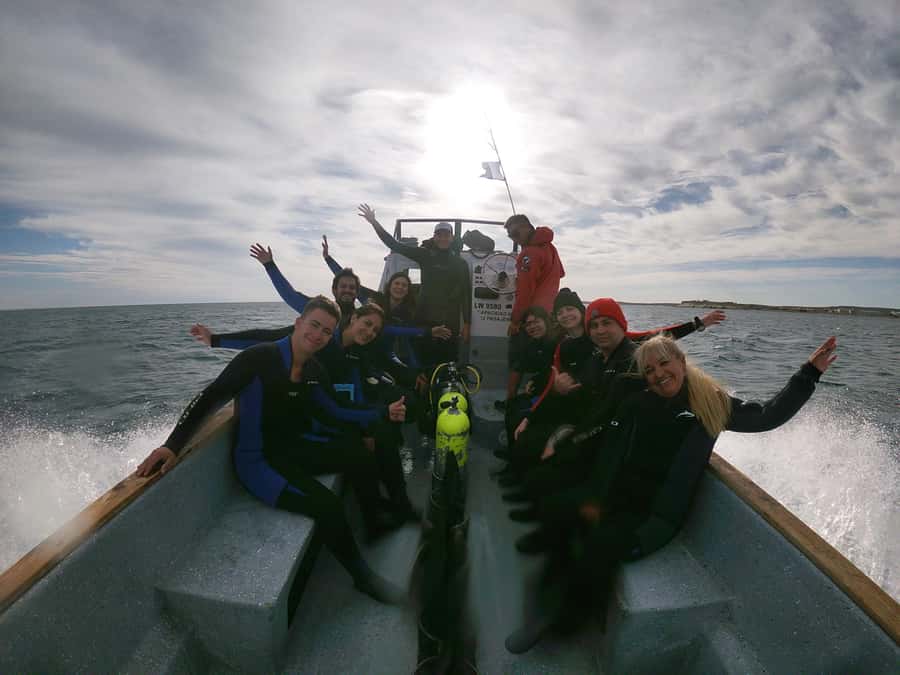 PUERTO MADRYN , SNORKELING WITH SEA LIONS - Who should book this experience?