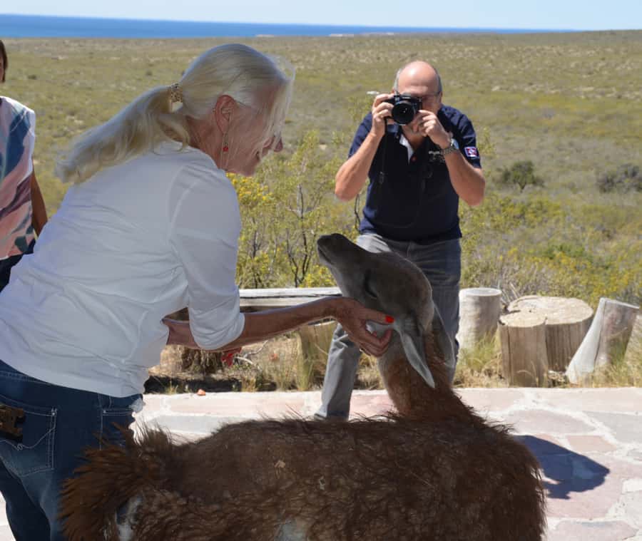 Punta Loma + Ranch Shore Excursion for cruise passengers - Key points to know before you book