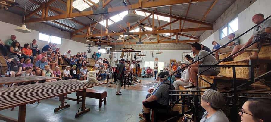 Punta Loma + Ranch Shore Excursion for cruise passengers - Watching wool come off the sheep