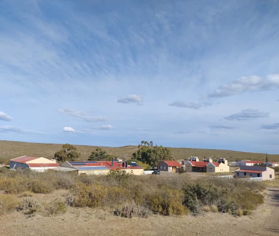 Punta Loma + Ranch Shore Excursion for cruise passengers - A two-course taste of Patagonian ranch cooking