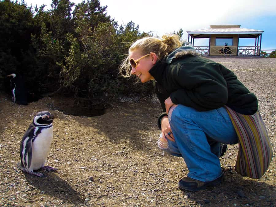 Punta Tombo for cruise-ship passengers - Who will enjoy this Punta Tombo trip most