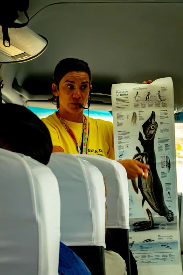 Punta Tombo Shore Excursion for Cruise Passengers + City - Who will enjoy this shore excursion most?