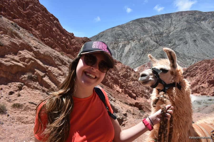 Purmamarca: Hiking with Llamas through multicolored mountains - Key points to know before you go
