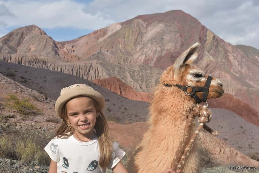 Purmamarca: Hiking with Llamas through multicolored mountains - Learning how to handle the llamas