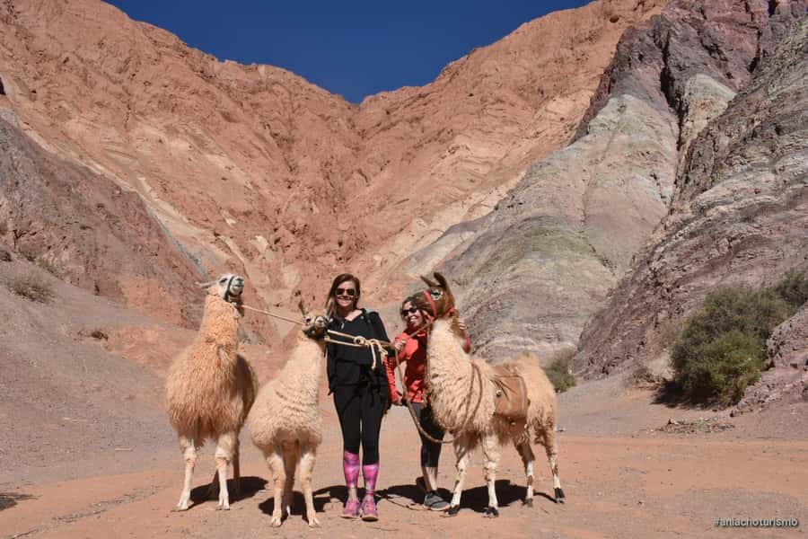 Purmamarca: Hiking with Llamas through multicolored mountains - What the guide explains along the way