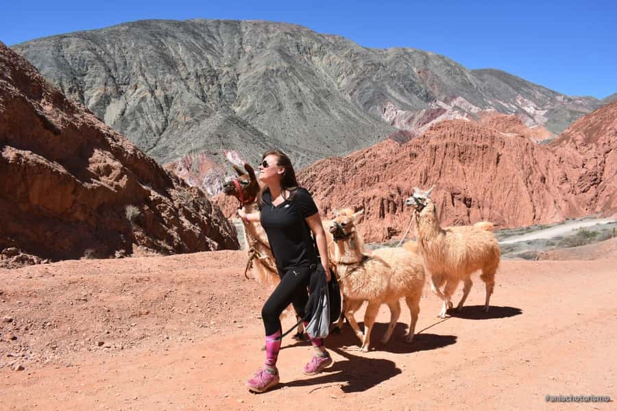 Purmamarca: Hiking with Llamas through multicolored mountains - How long the experience really takes