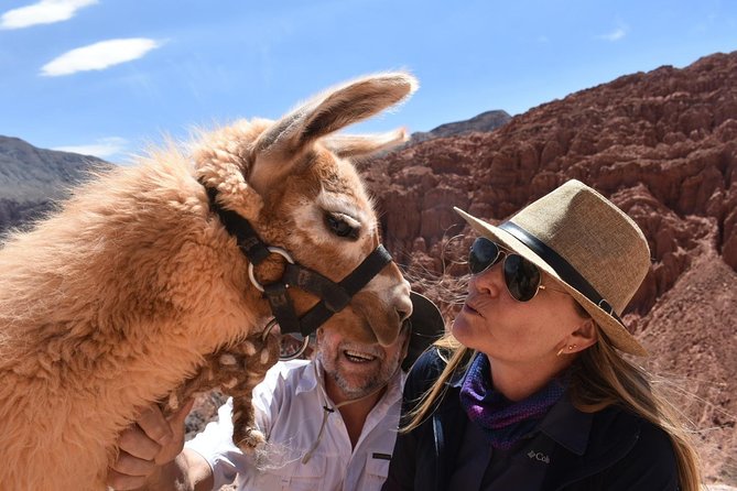 Purmamarca Walk with Llamas - Key points at a glance
