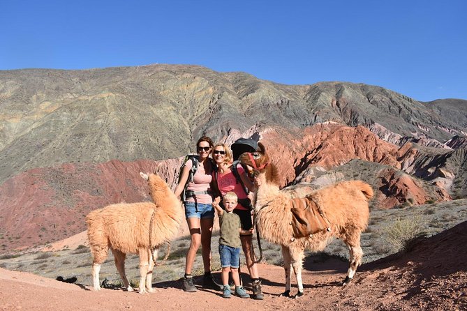 Purmamarca Walk with Llamas - Why walking with llamas changes the outing
