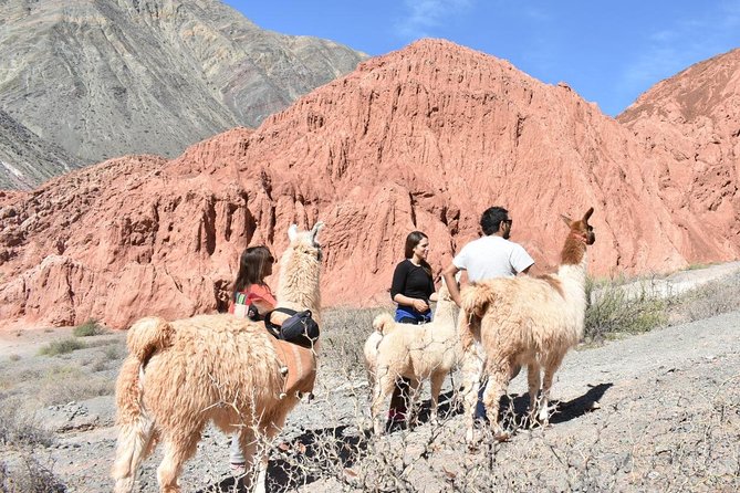 Purmamarca Walk with Llamas - Hill of Seven Colors: the iconic view