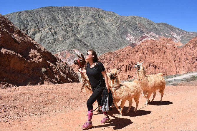 Purmamarca Walk with Llamas - Starting at Belgrano 205 in Purmamarca