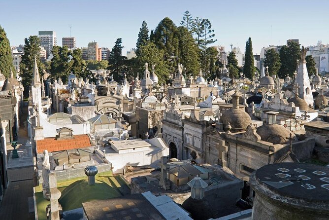 Recoleta in Depth (not literally) Private Walking Tour - Starting beneath Recoleta’s giant rubber tree