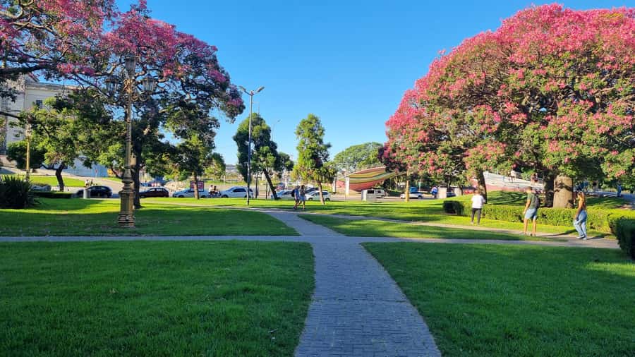 Recoleta Walking Tour and Live Jazz Show - Plaza Francia and the Recoleta setting