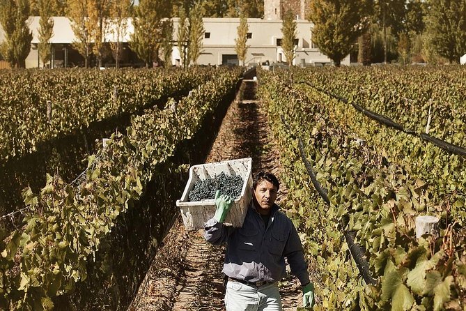 Renacer Winery Experience - The architecture and gardens are part of the experience