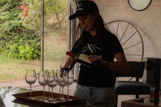 Roast and Empanadas Class with Wine |Mendoza|Braseando Experience - Who will enjoy Braseando most